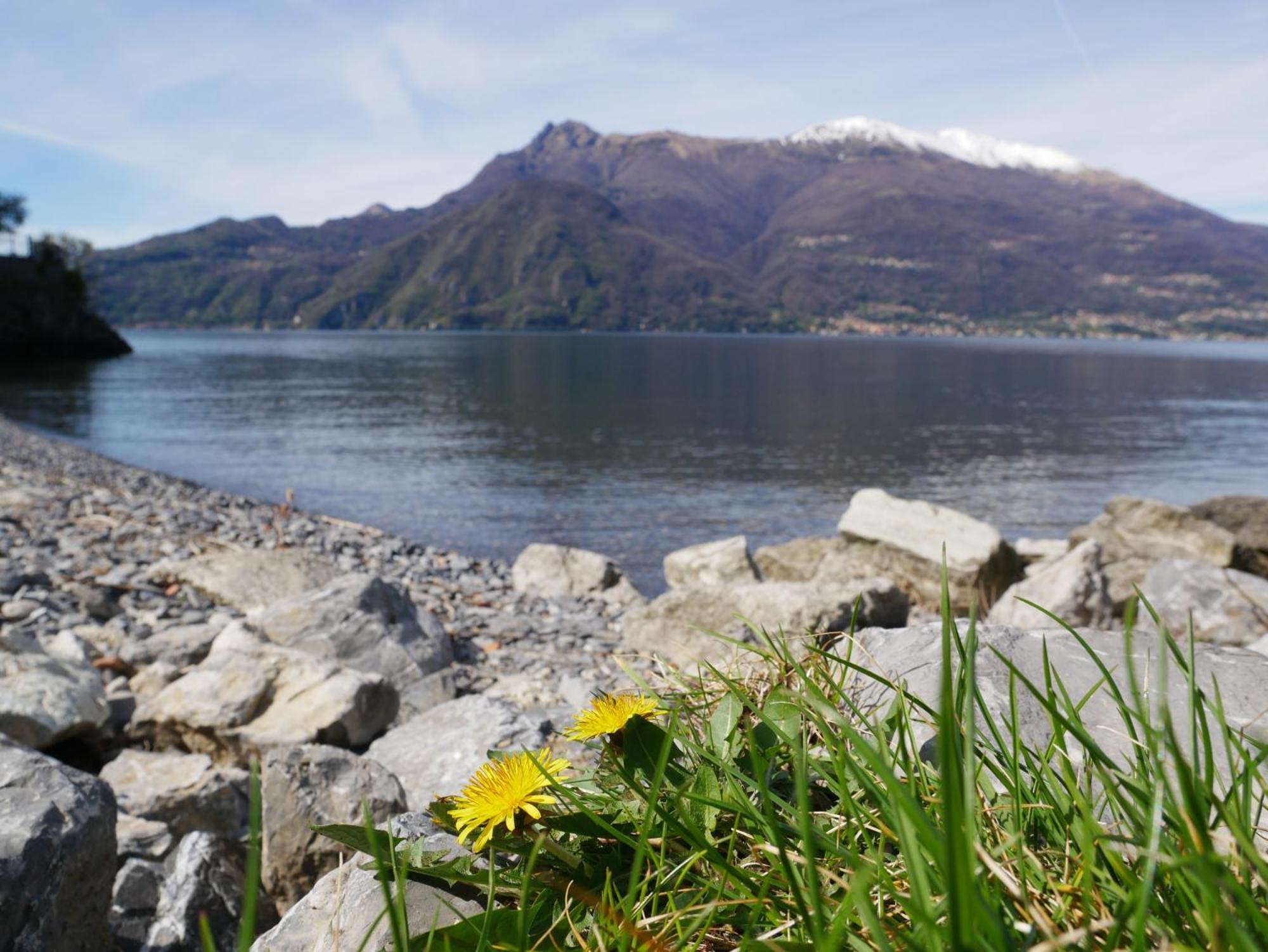 LA RIVA appartamento Perledo Esterno foto